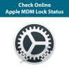 Check Apple MDM lock status